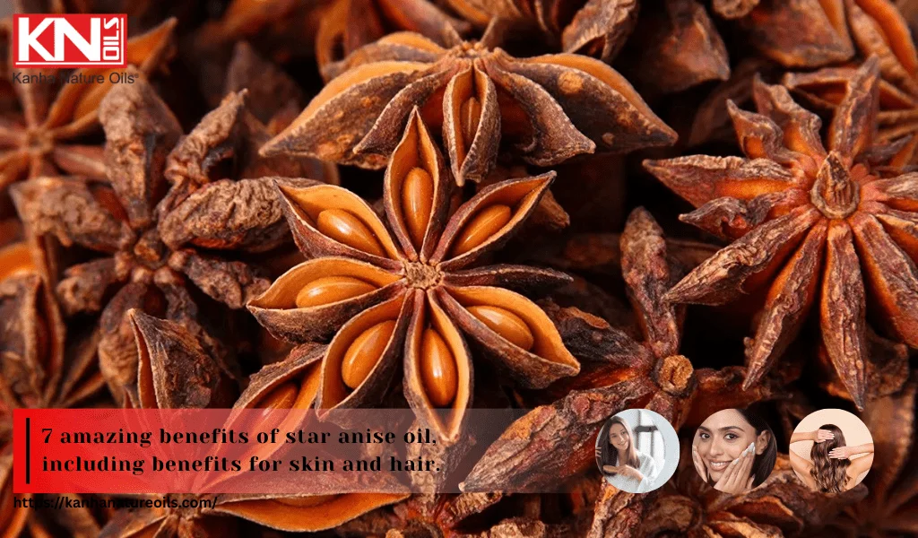 7 amazing benefits of star anise oil, including benefits for skin and hair.